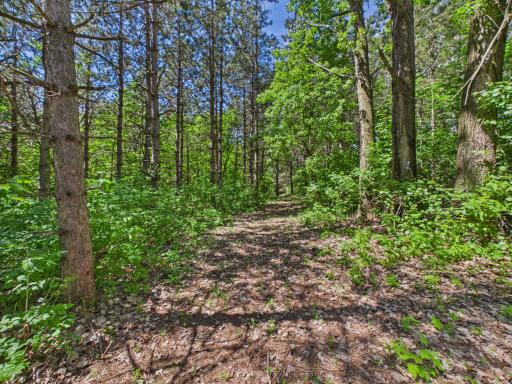 38739 County Road 10, Albany, MN 56307
