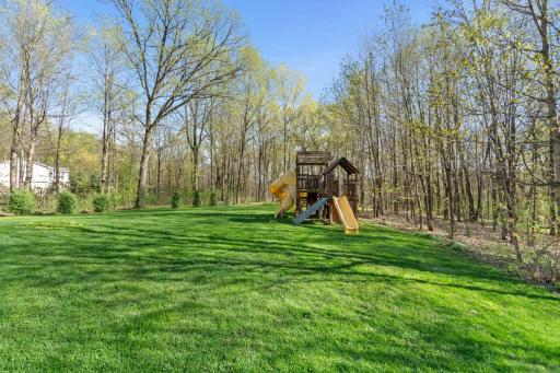 Incredible backyard