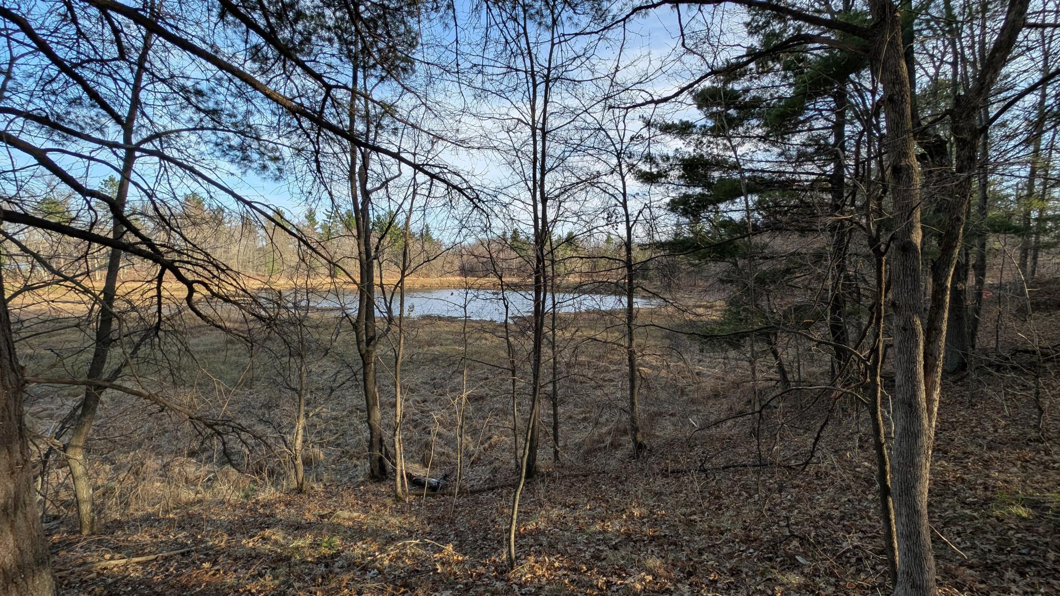 Property photo for TBD Honkers Hollow, Danbury, WI 54830