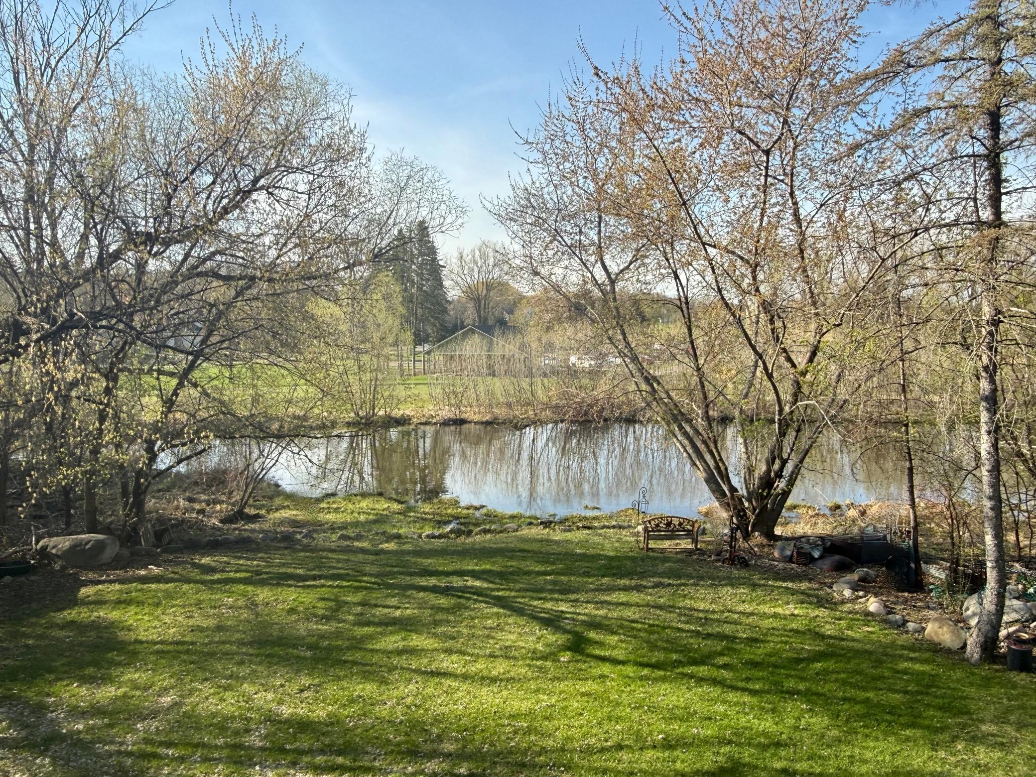 View of back home pond