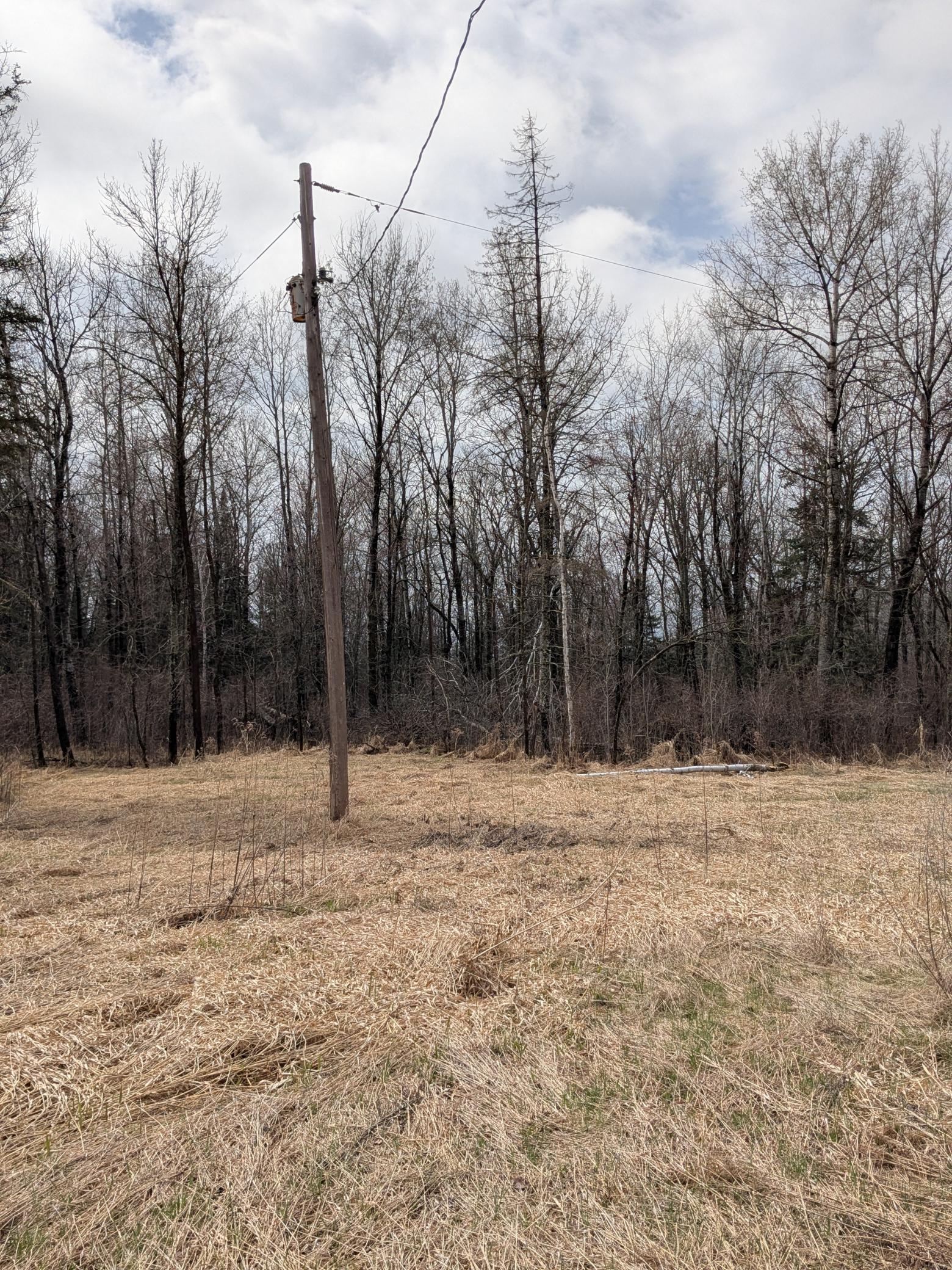 great open area for building or the camper