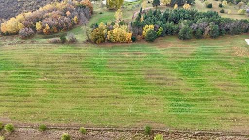 TBD County Road 136, Saint Cloud, MN 56301