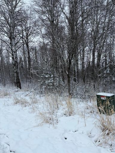 TBD Pine Creek Drive NW, Angle Inlet, MN 56711