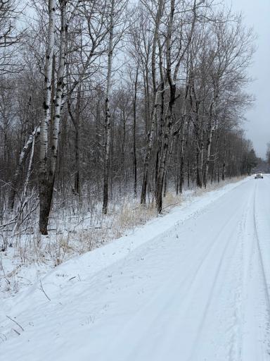 TBD Pine Creek Drive NW, Angle Inlet, MN 56711