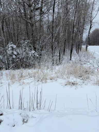 TBD Pine Creek Drive NW, Angle Inlet, MN 56711