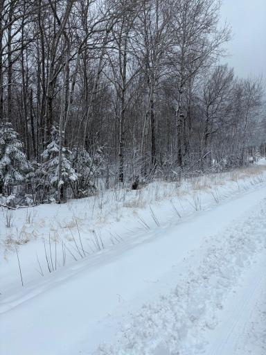 TBD Pine Creek Drive NW, Angle Inlet, MN 56711