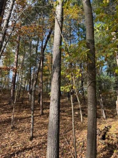 1380 Little John Road, Nisswa, MN 56468