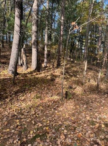 1380 Little John Road, Nisswa, MN 56468