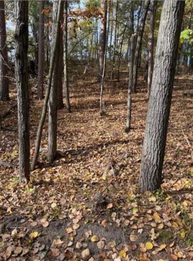 1380 Little John Road, Nisswa, MN 56468