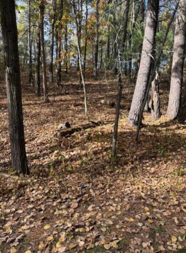 1380 Little John Road, Nisswa, MN 56468