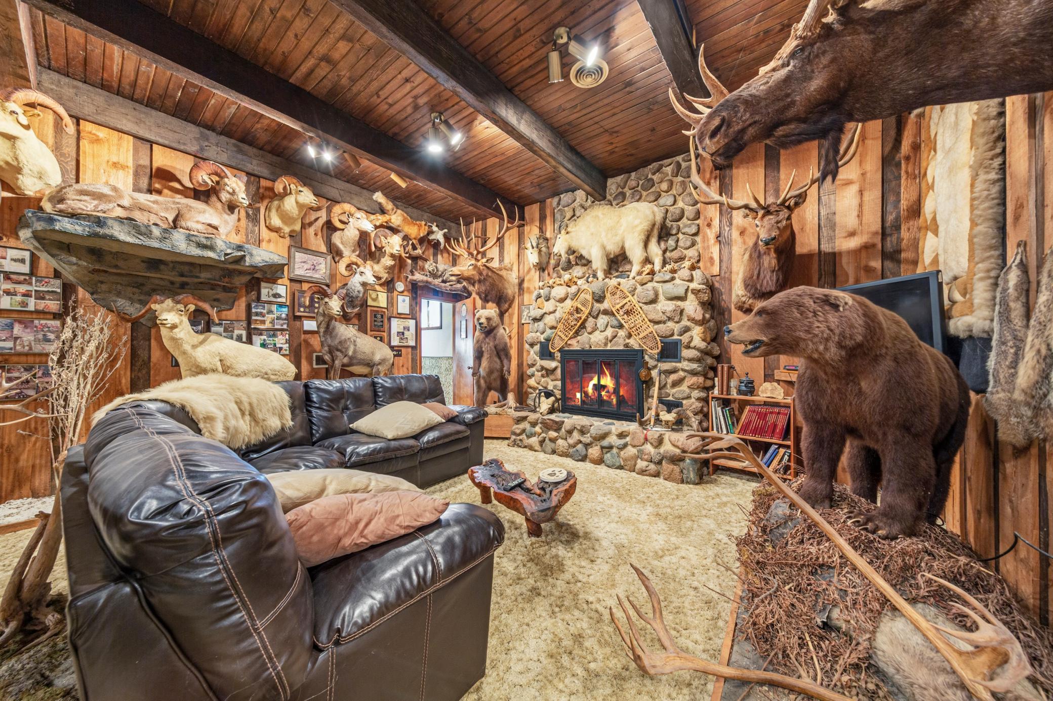 47 family room_lower.jpg