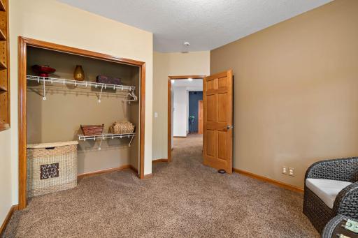 Second bedroom in the lower level with large closet.