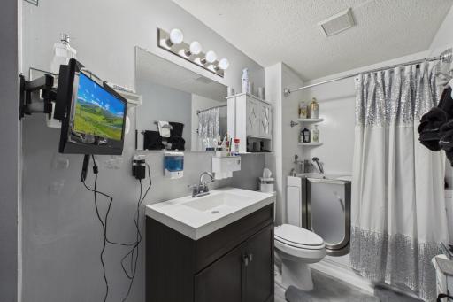 LL Full Bath w/ Walk-in Tub