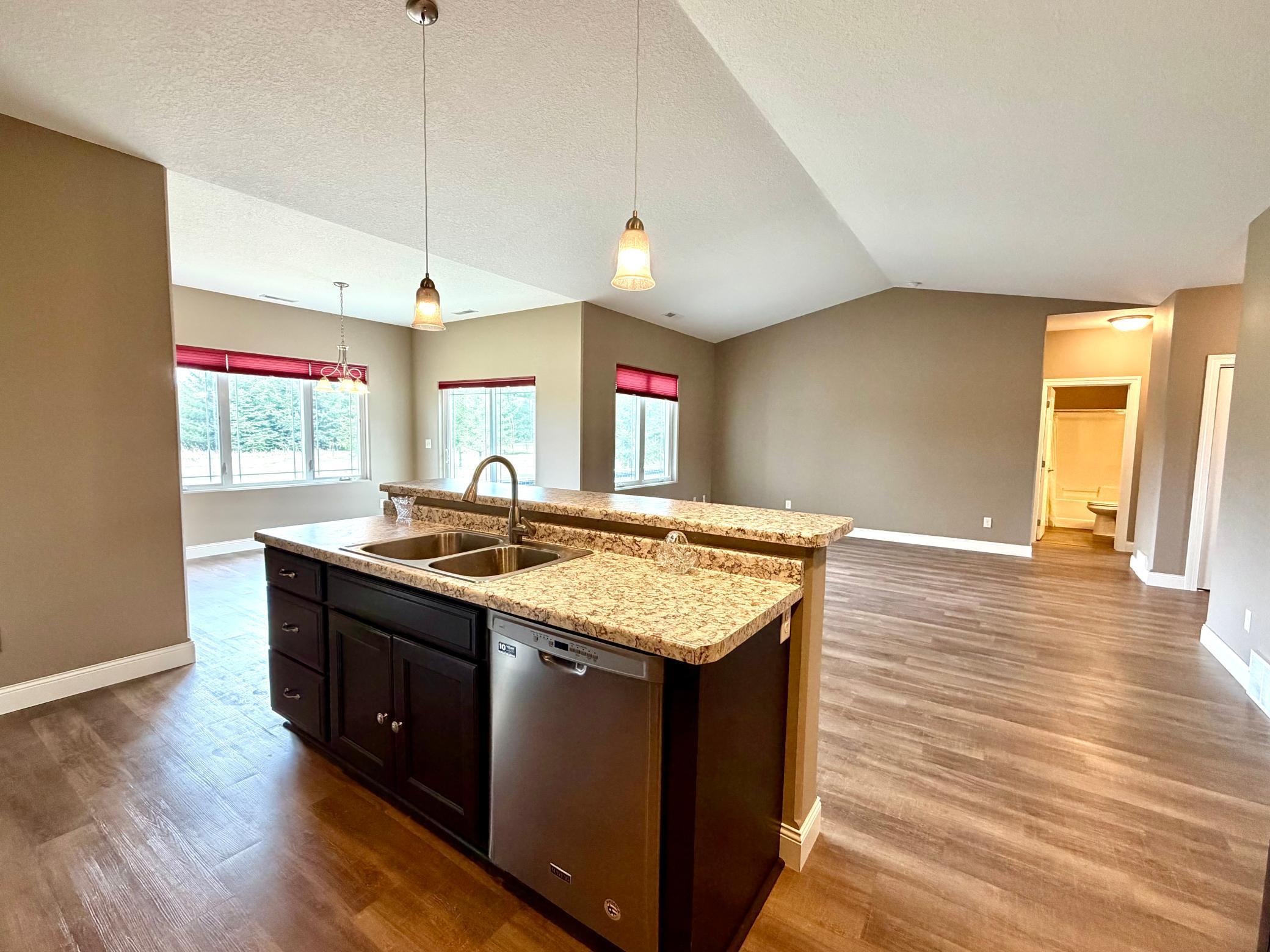 Dishwasher in the kitchen island.jpeg