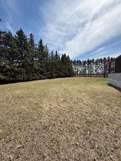 Large country lot bordered by mature trees