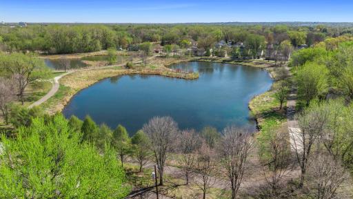 Large-scale view of the pond behind home