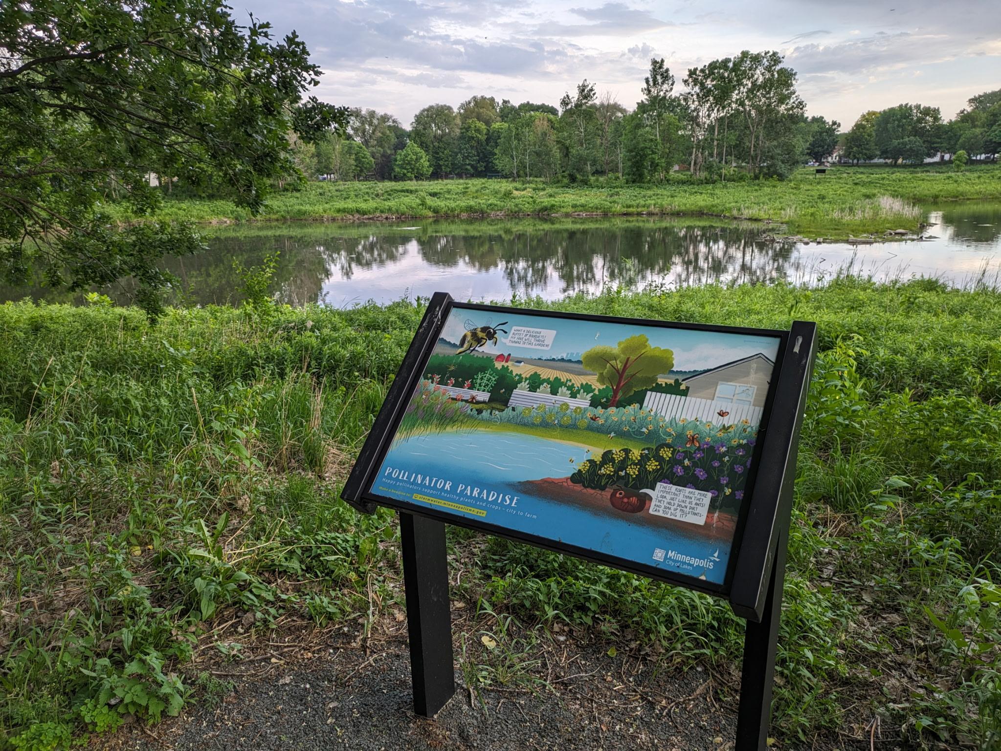 Summer photo of the pond