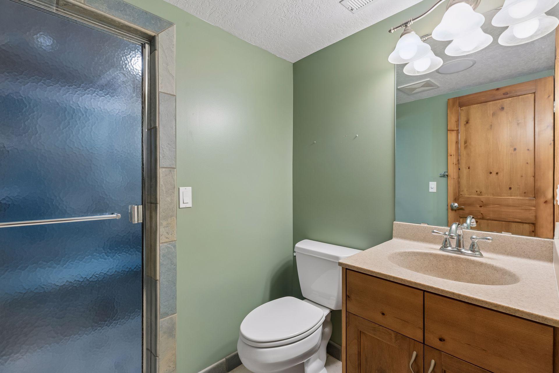 Lower level bath with steam shower