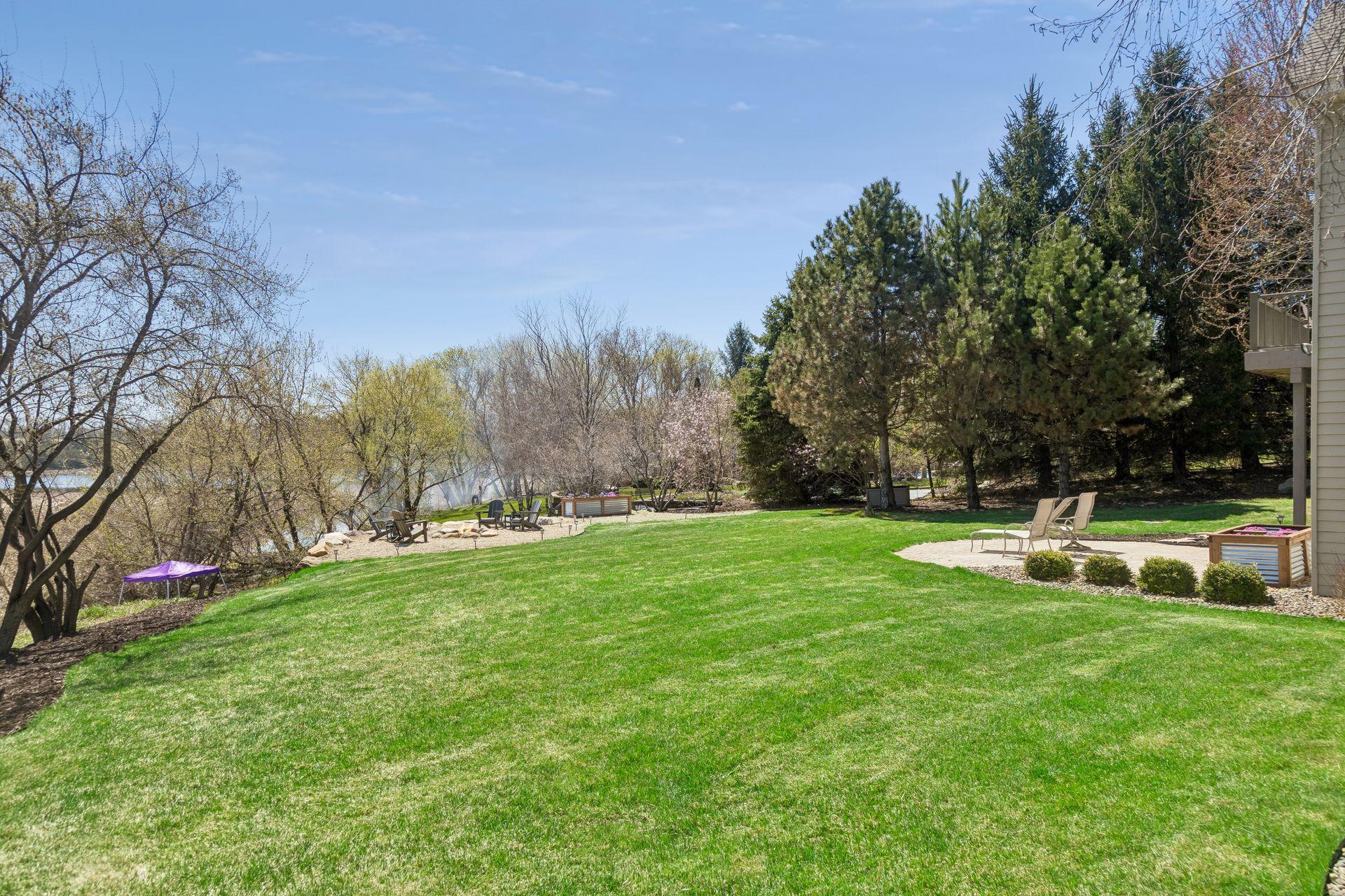 Tall pines separate the property from the neighbors