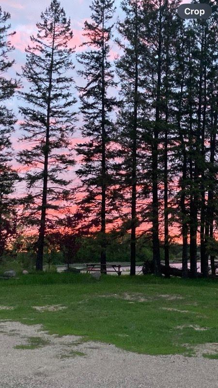 View toward the lake.jpg