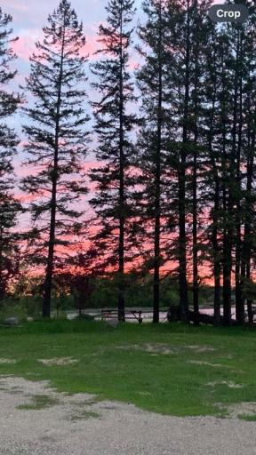 View toward the lake.jpg