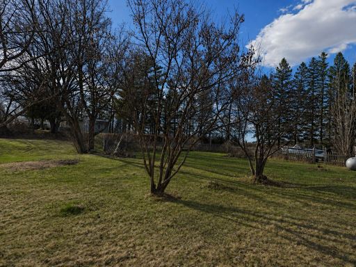 Outdoors2.png