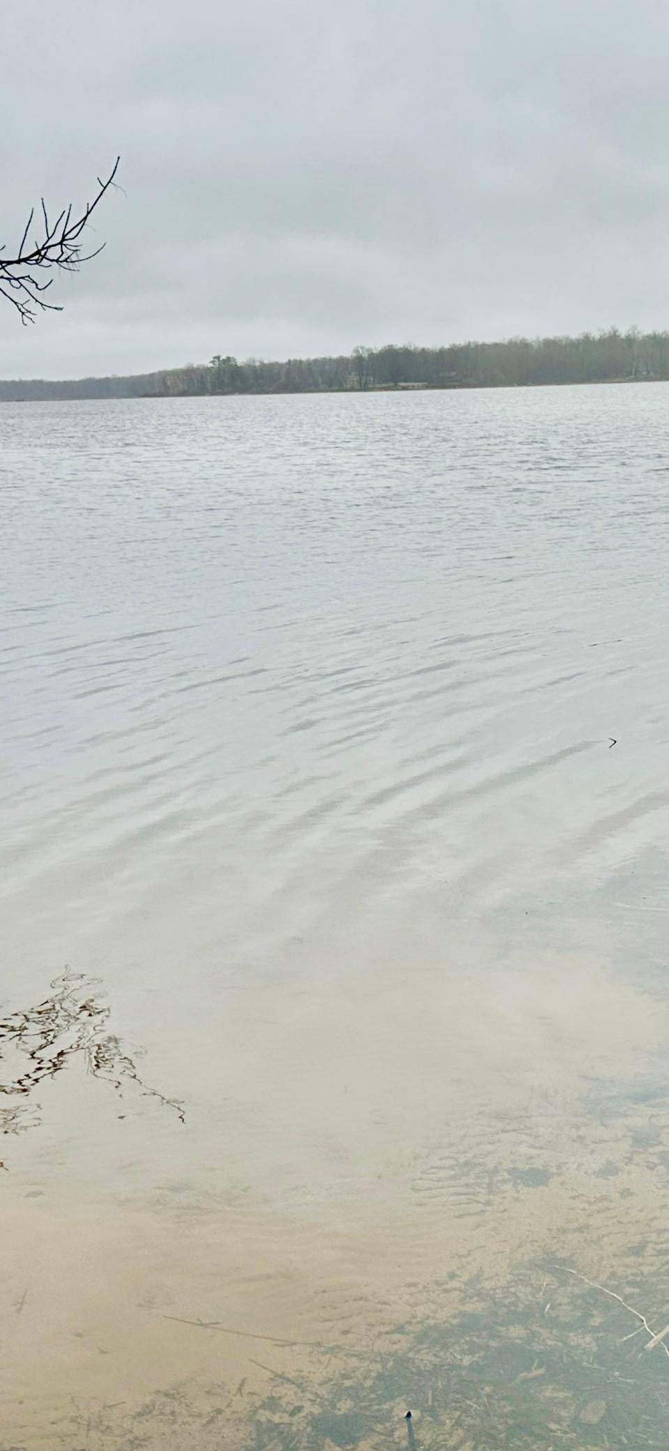 Sand Bottom