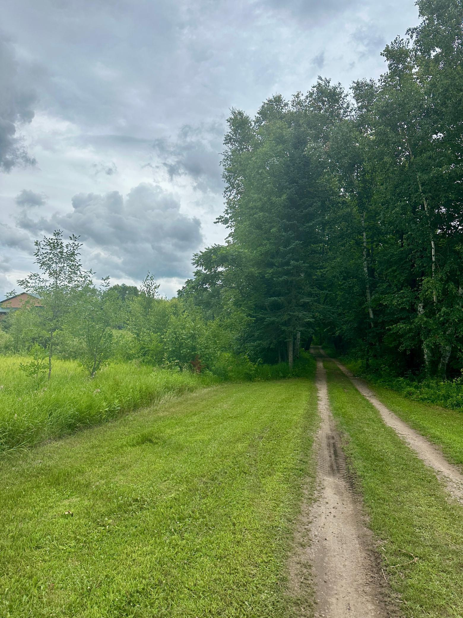 Shared Driveway