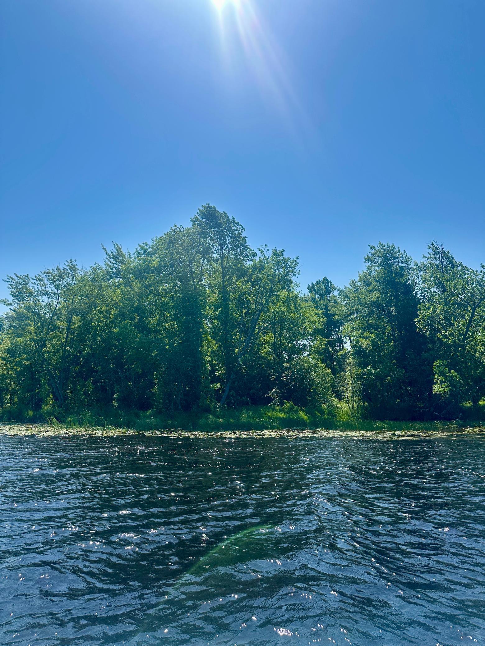 3+ Acre Lake Lot