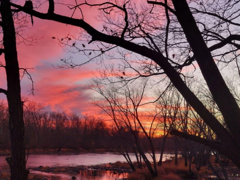 e1f93107-184f-44e6-96af-d827c9578766 (1).jpg