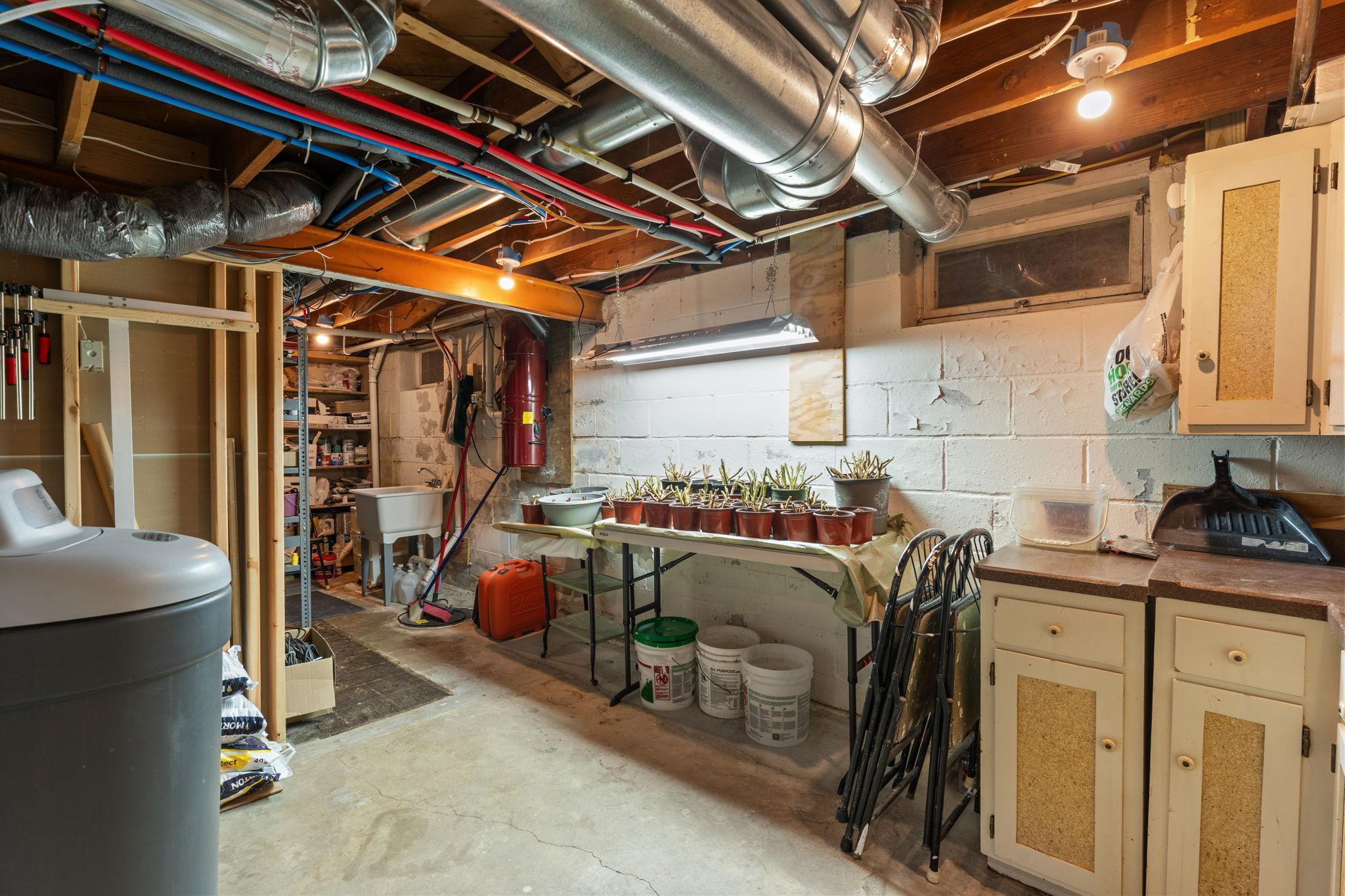 Mr. Seller knows his way around the garden! The new owner will benefit from his experience.