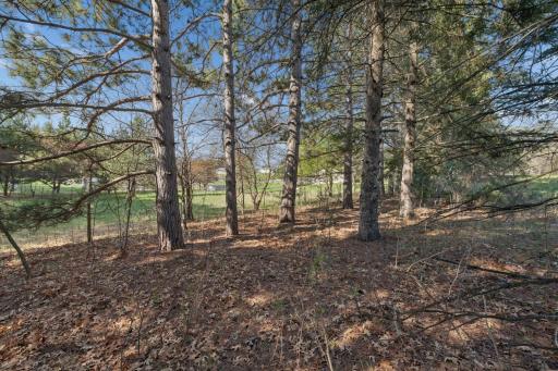 TBD 32nd Avenue SW, Cambridge, MN 55008