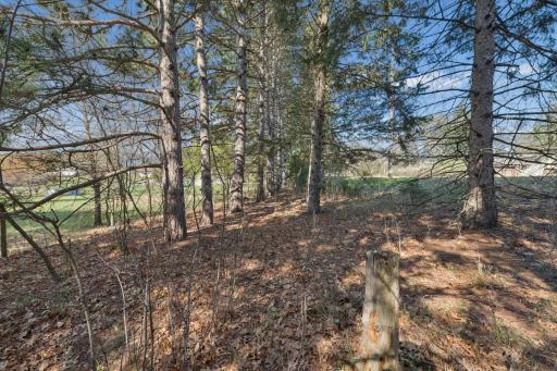TBD 32nd Avenue SW, Cambridge, MN 55008