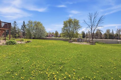 Spacious Backyard
