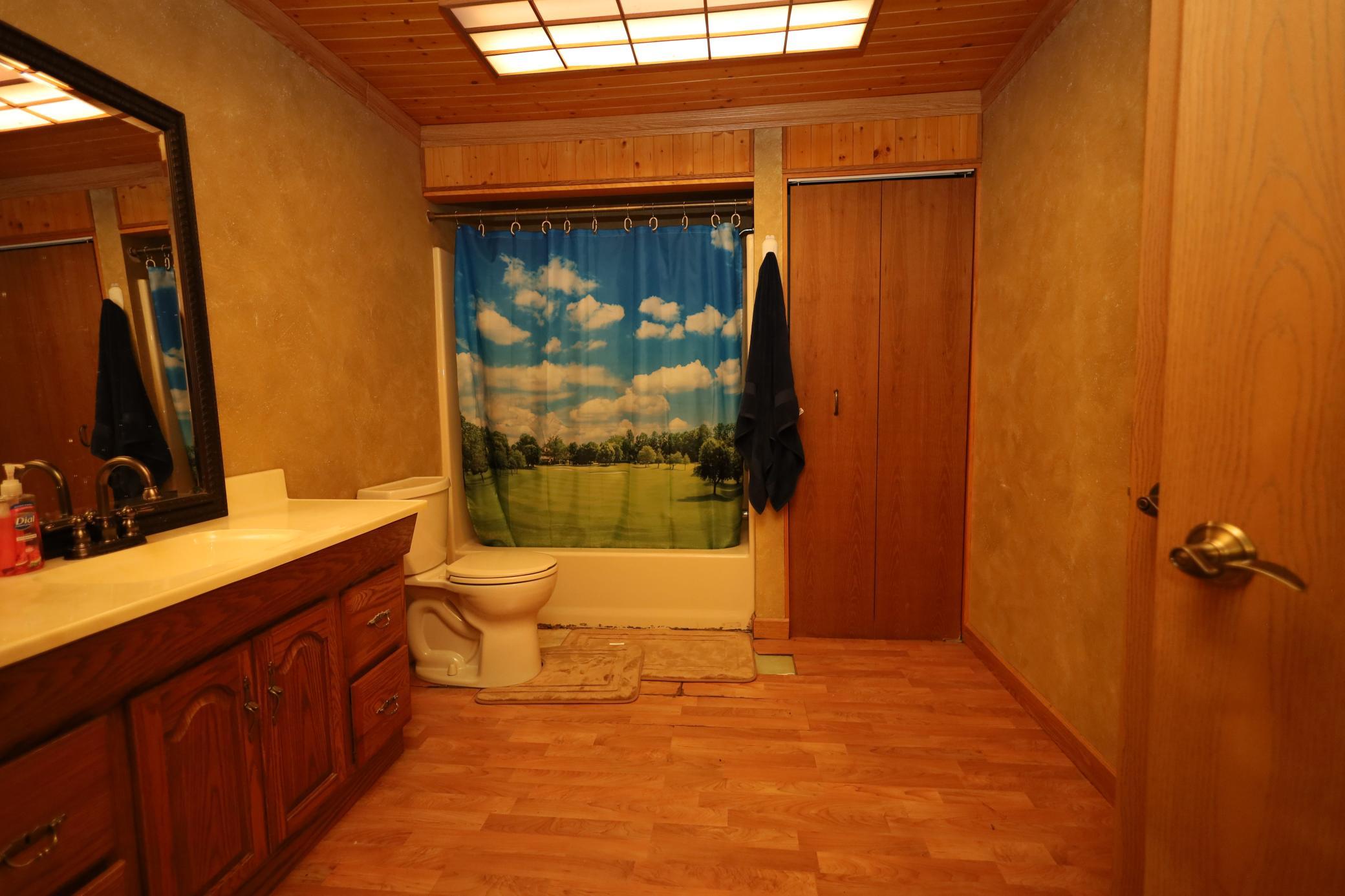 basement bathroom