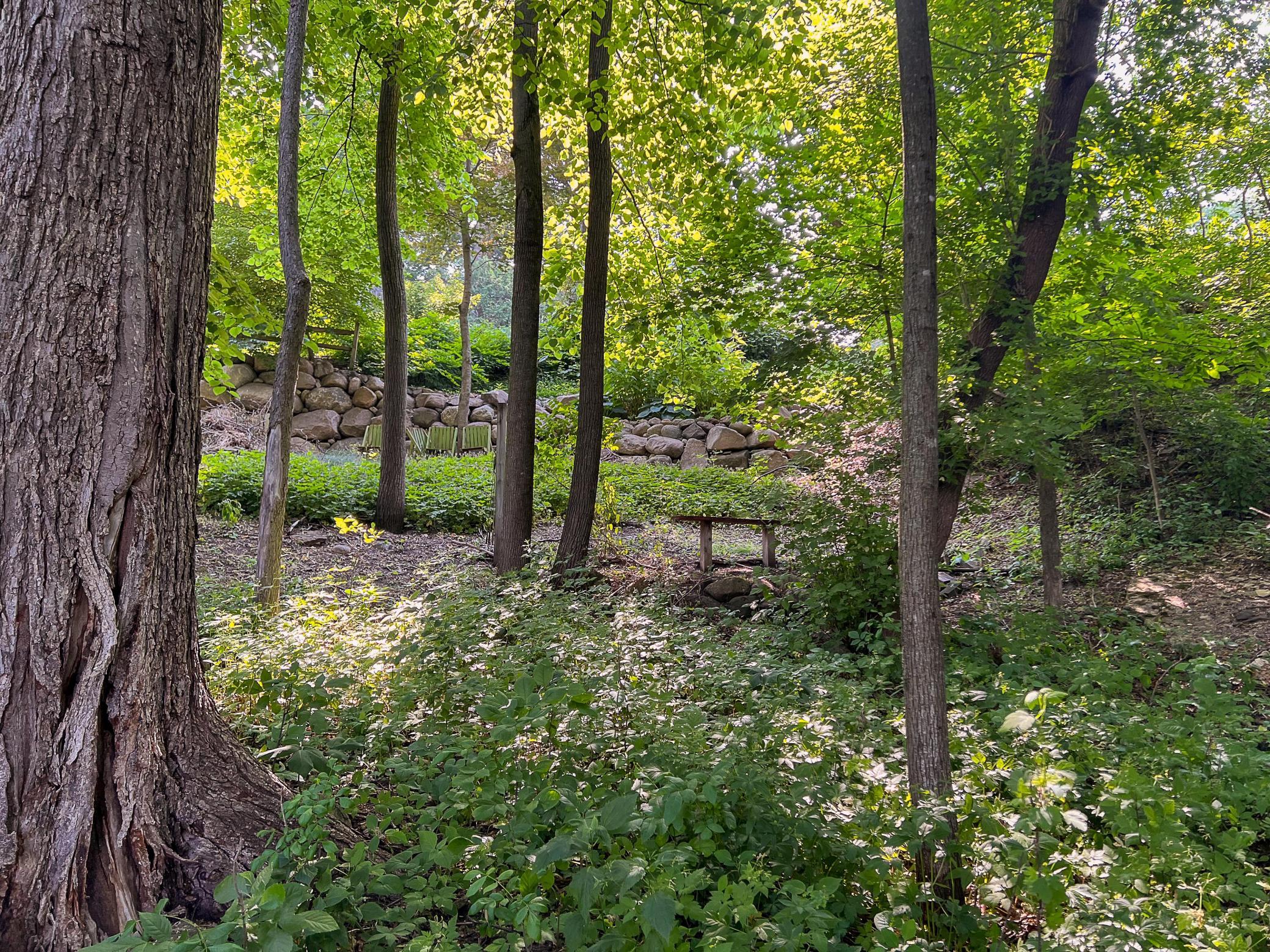 1101 20th St NW-113.jpg