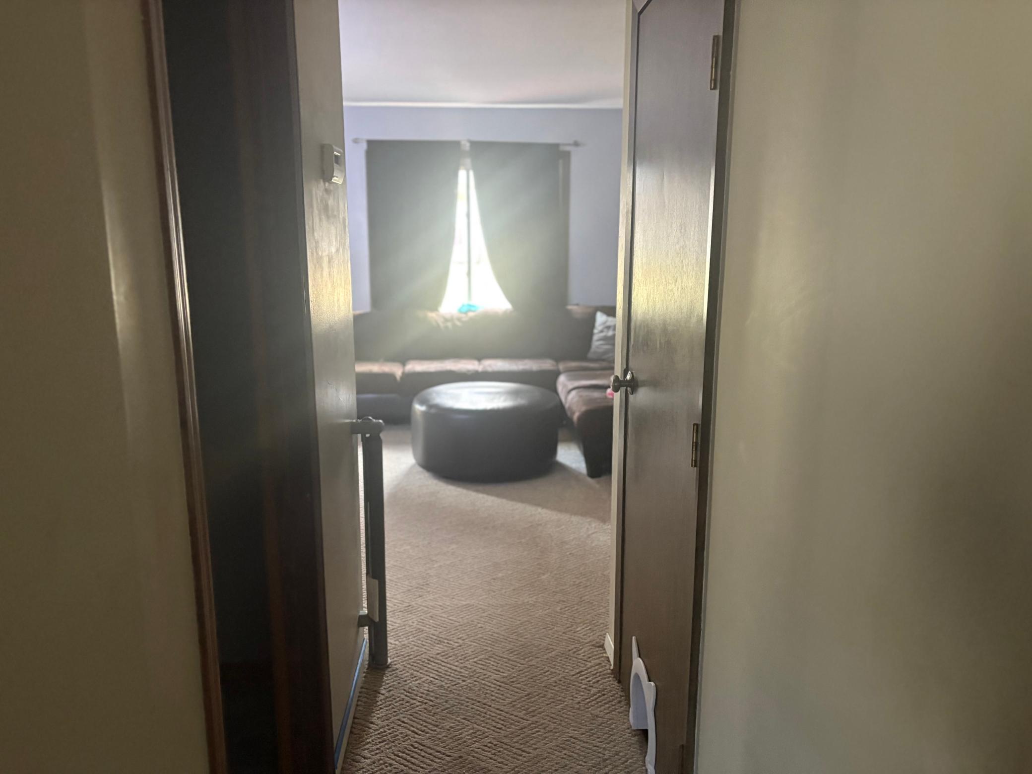 Hallway to living area and basement door