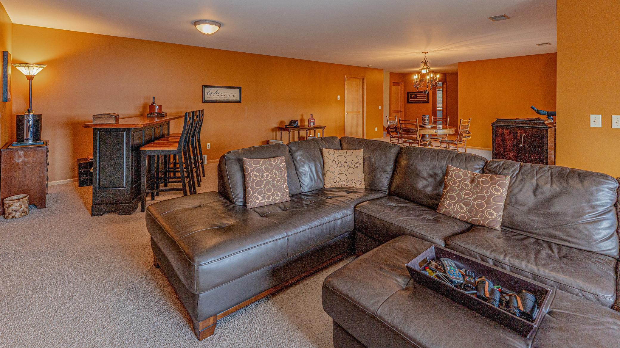 Lower level Family Room.jpg