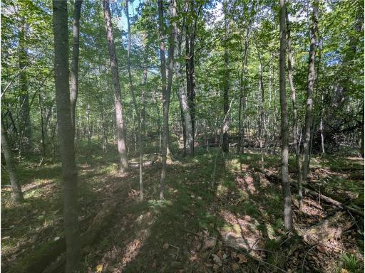 L23 B32 Shady Trail, Breezy Point, MN 56472