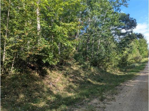 L23 B32 Shady Trail, Breezy Point, MN 56472