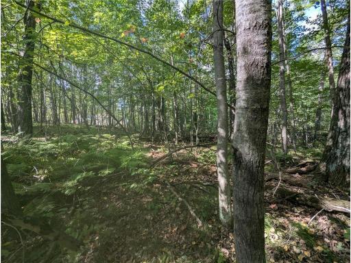 L23 B32 Shady Trail, Breezy Point, MN 56472