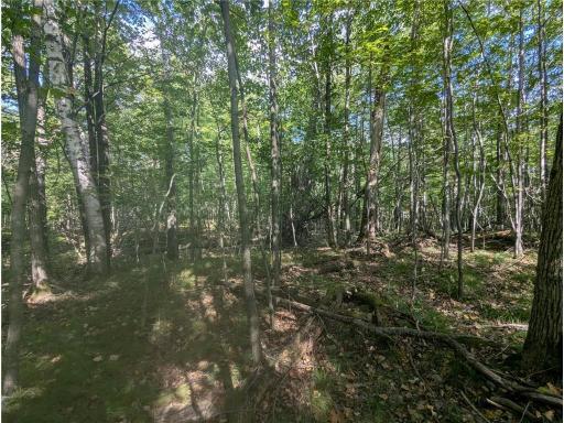 L23 B32 Shady Trail, Breezy Point, MN 56472