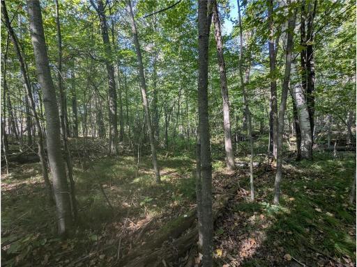 L23 B32 Shady Trail, Breezy Point, MN 56472