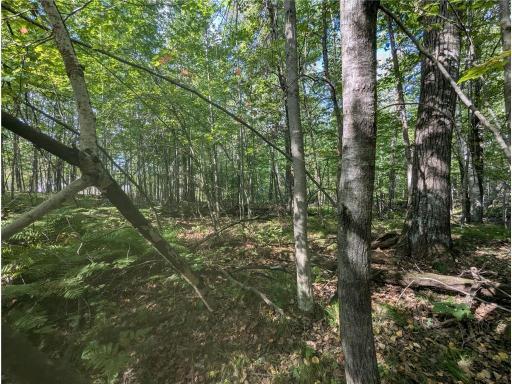 L23 B32 Shady Trail, Breezy Point, MN 56472