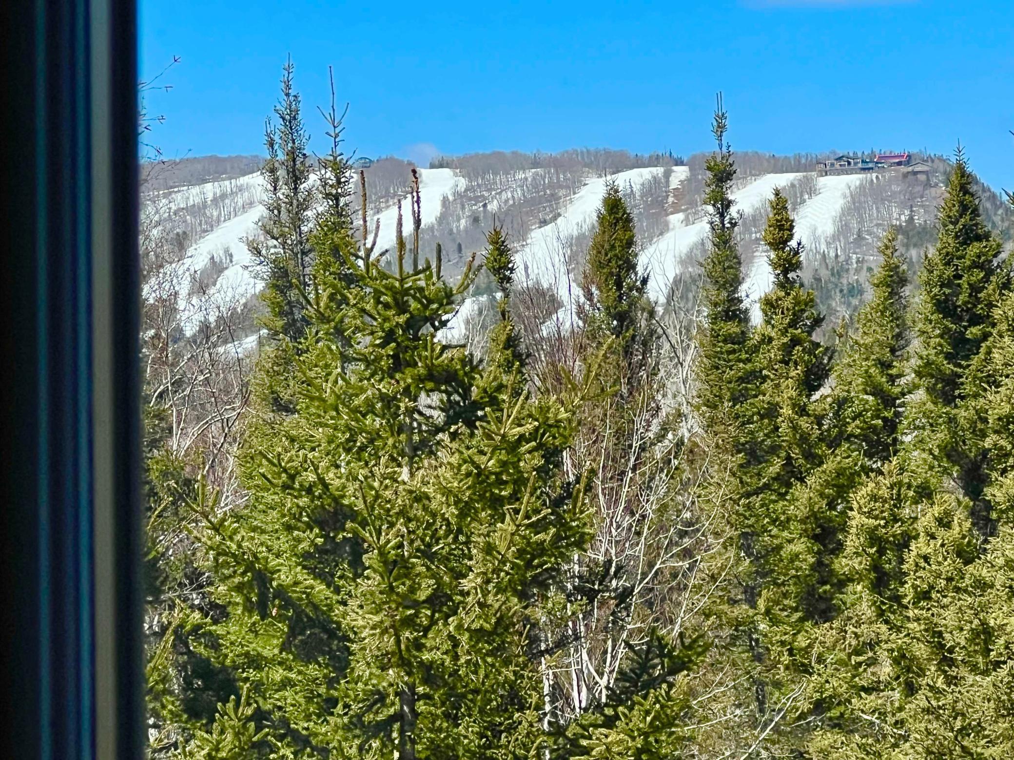 Upper Level Ski Hill View.jpg