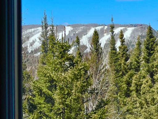 Upper Level Ski Hill View.jpg