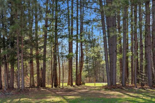 12977 Appaloosa Pass, Finlayson, MN 55735