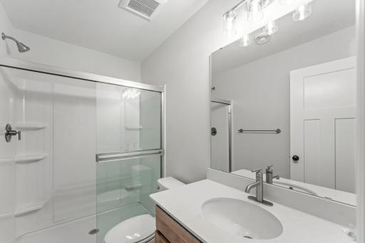 Lower Level Bathroom