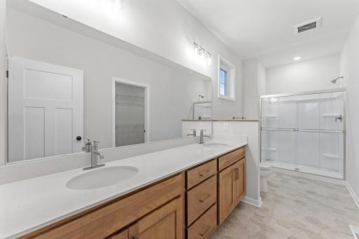 Owner's Bath