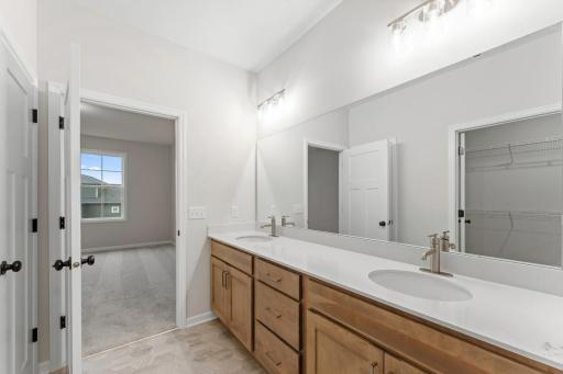 Owner's Bath